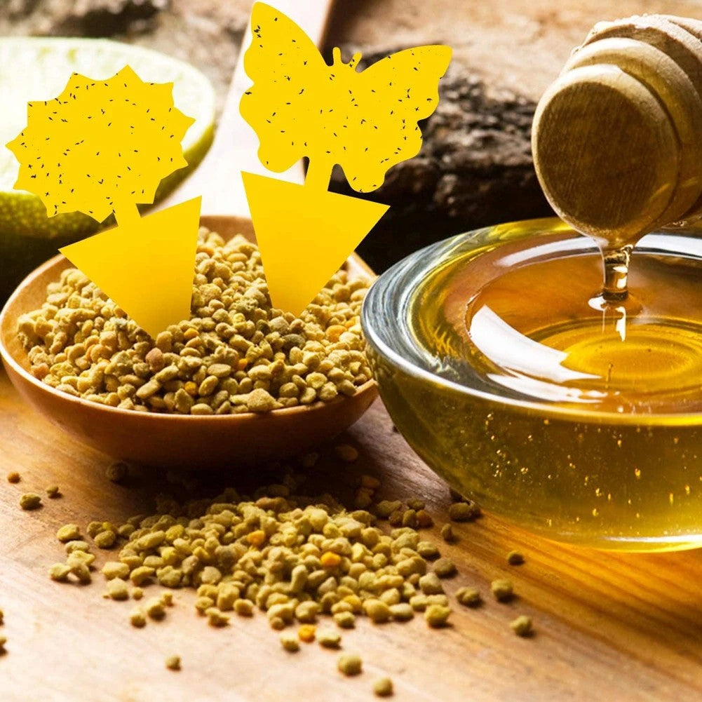 Armadilha Pegajosa Amarela para Moscas de Frutas – PP Ecológico