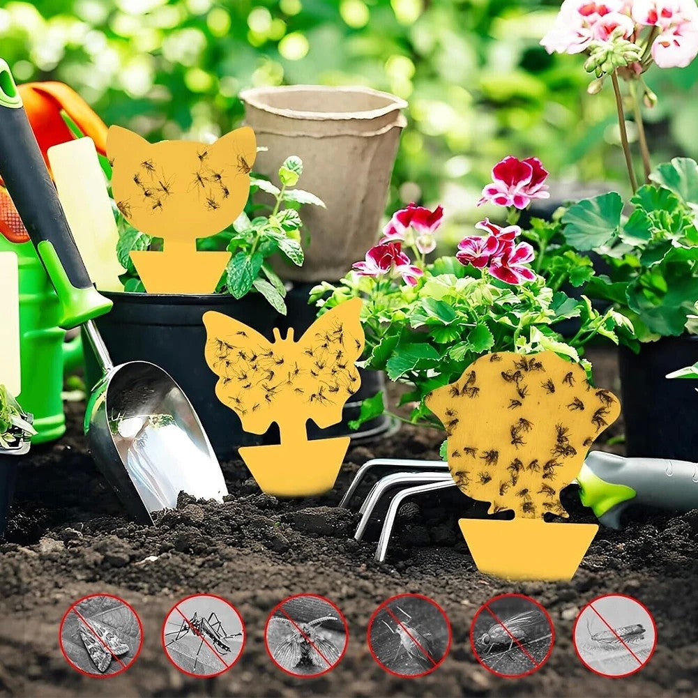 Armadilha Pegajosa Amarela para Moscas de Frutas – PP Ecológico