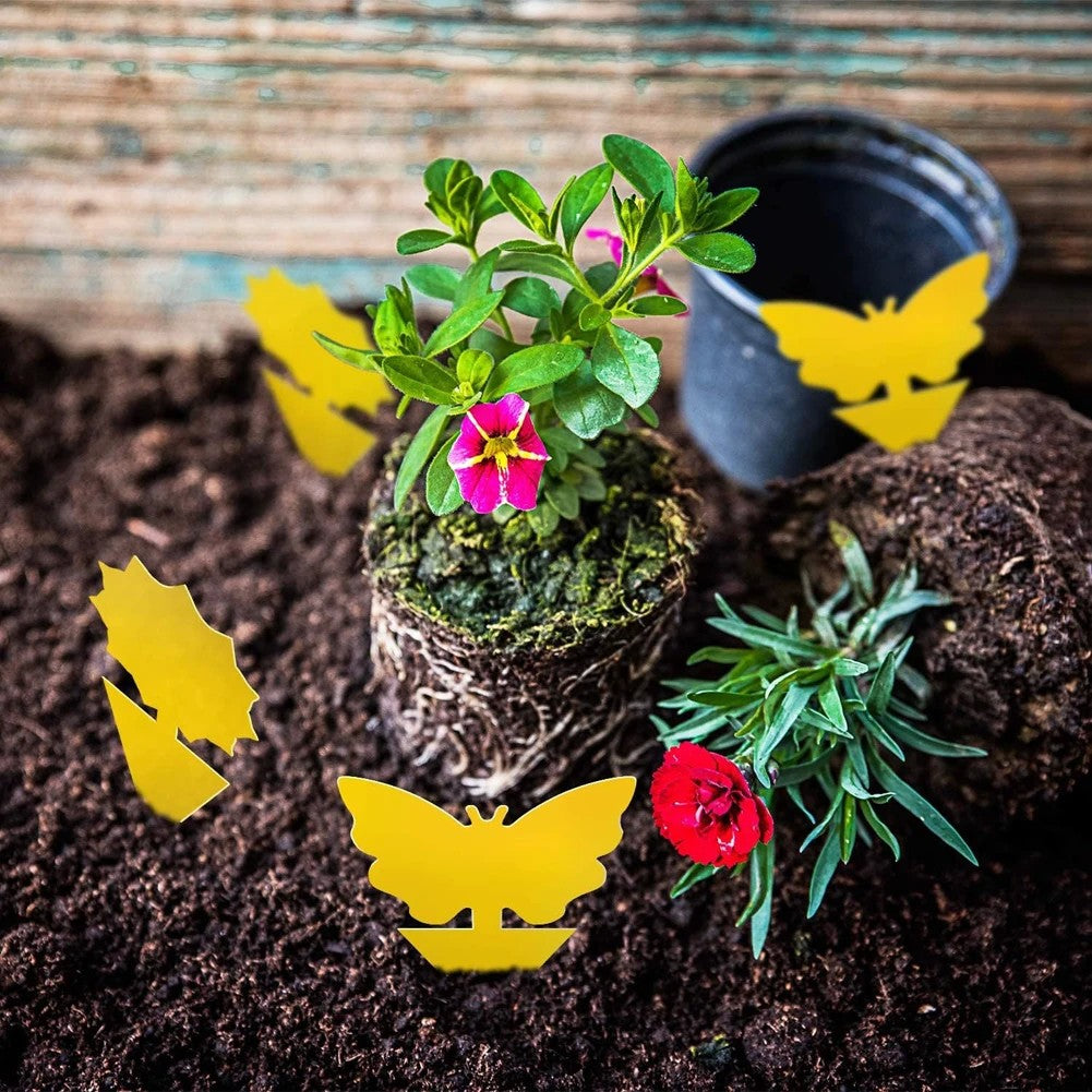 Armadilha Pegajosa Amarela para Moscas de Frutas – PP Ecológico