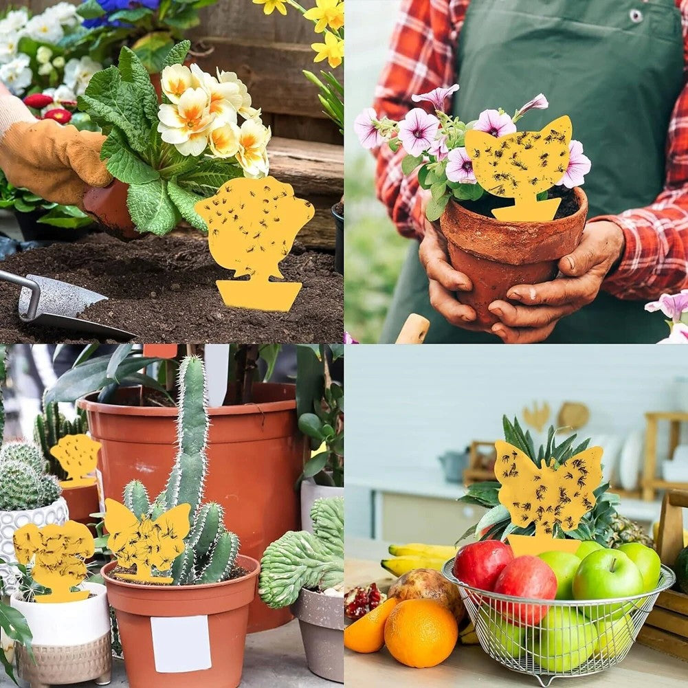 Armadilha Pegajosa Amarela para Moscas de Frutas – PP Ecológico