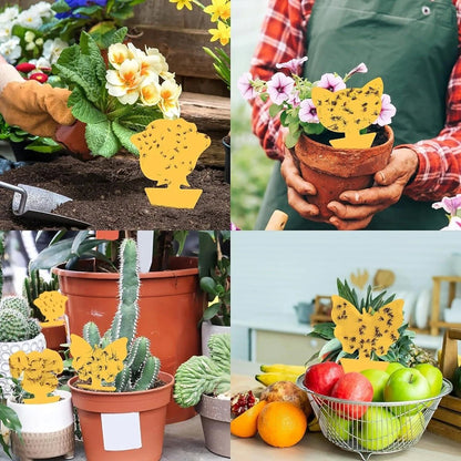 Armadilha Pegajosa Amarela para Moscas de Frutas – PP Ecológico